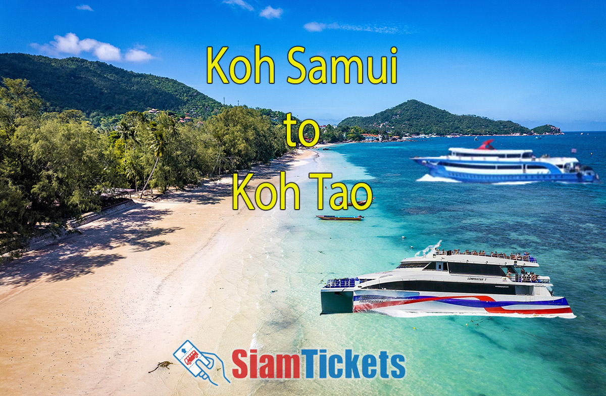 Travel from Koh Samui to Koh Tao Ferry Classes & Prices