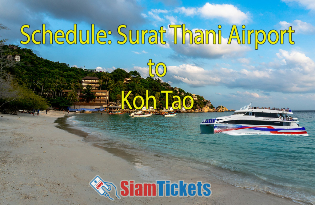 Catamaran ferry approaching Shark Bay beach on Koh Tao, with resorts visible on lush hillside and 'Schedule: Surat Thani Airport to Koh Tao' text overlay"